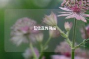 征信宣传简报