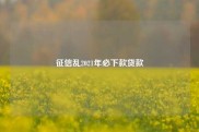 征信乱2021年必下款贷款