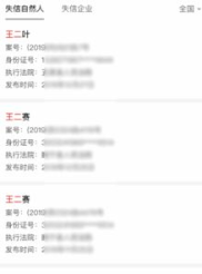 全国法院失信人被执行人查询,全国法院失信被执行人查询指南