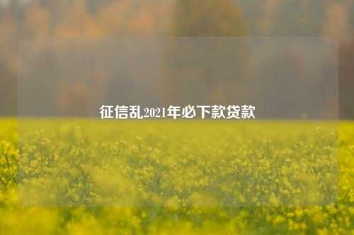 征信乱2021年必下款贷款